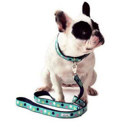 Collars, Harness & Leashes