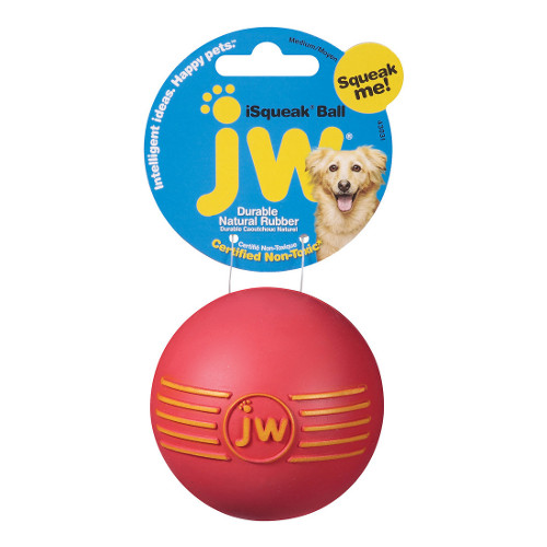 Jw Pet Isqueak Ball Dog Toy Champlain