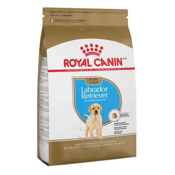 royal canin labrador