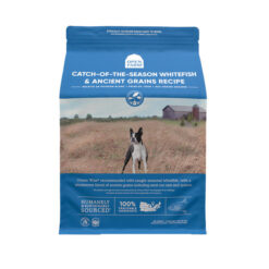 Open Farm Grain-Free Catch-of-the-Season Whitefish & Ancient Grain Dry Dog Food